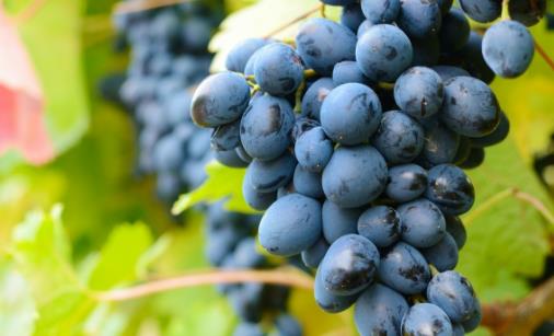 聰明女人補水護膚法則