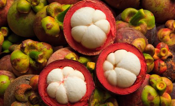 山竹被譽為果中之后 營養豐富抗氧化作用超強