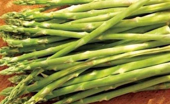 嘌呤高的食物加重痛風病情 痛風的飲食療法