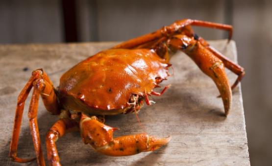 關于螃蟹的謠言你信過嗎 正確食用螃蟹放心享受螃蟹盛宴