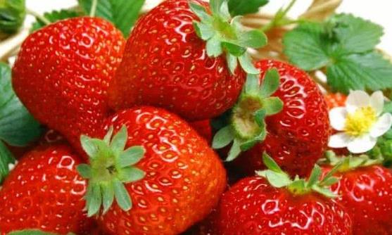 花青素對(duì)人體的健康功效 來好好認(rèn)識(shí)一下花青素吧