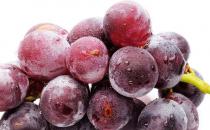 孕婦吃水果的注意事項 四種營養水果食譜補充營養