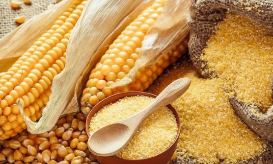 遭嫌棄卻深含大營養的食物 難吃卻最營養