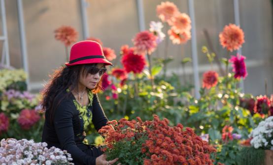 踏青賞花正當時 賞花惹過敏六招防治過敏