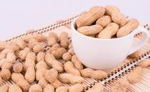 ?積極的健腦補腦 十三種食物必須吃