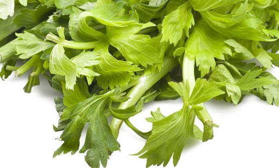 高血壓越來(lái)越年輕化 十種超級(jí)降壓的食物來(lái)緩解