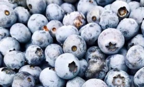 能降血脂的13種天然食物 能有效清除機體內代謝的垃圾