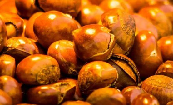 板栗具有腎之果的美譽(yù) 栗子的五種美味吃法