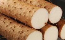 ?山藥含有多種微量元素 山藥的多種家常做法