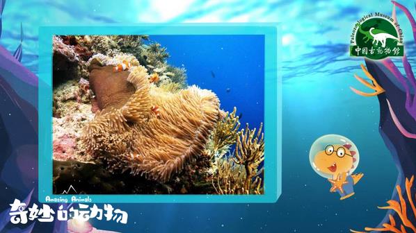 一部非常值得推薦的兒童科普紀(jì)錄片—《奇妙的動物》