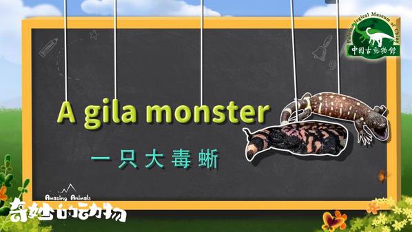 一部非常值得推薦的兒童科普紀(jì)錄片—《奇妙的動物》