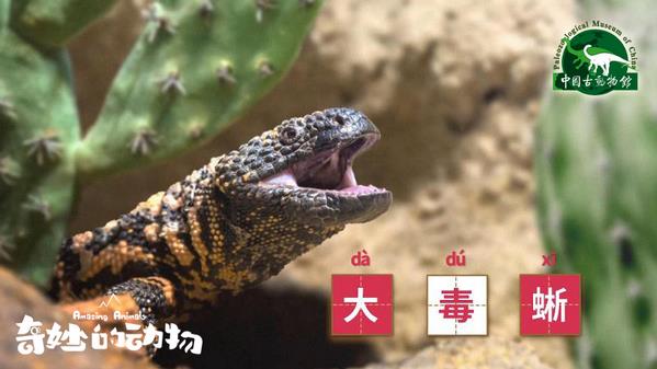 一部非常值得推薦的兒童科普紀(jì)錄片—《奇妙的動物》