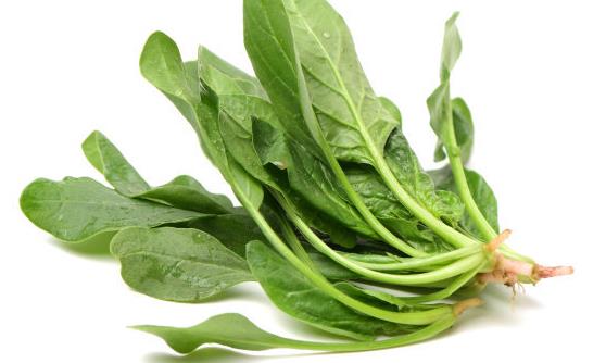菠菜被推崇為十大養顏美膚食物之一 吃菠菜的禁忌