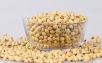 ?常吃黃豆預防老年癡呆癥 食用黃豆的注意事項