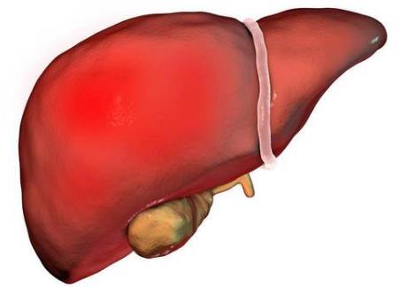 為什么手機(jī)是睡眠殺手？習(xí)慣性睡前玩手機(jī)、長(zhǎng)期熬夜玩手機(jī)的危害