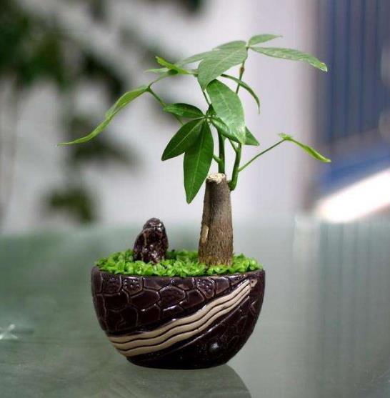 室內(nèi)空氣凈化、除甲醛行業(yè)的市場前景概況及推廣盈利模式簡介