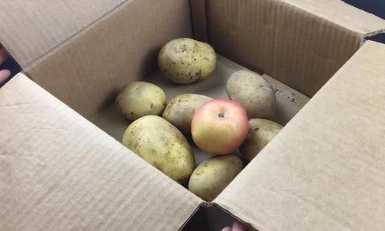 土豆發(fā)芽了還能吃嗎?剛發(fā)芽的土豆可以吃嗎