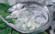 ?為何帶魚不能人工養殖 帶魚為什么一出水后就會死掉 帶魚是深海魚嗎