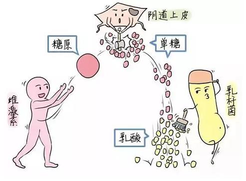 芙美安婦科凝膠丨婦科炎癥反復(fù)發(fā)作？自從用了它，告別私密困擾！