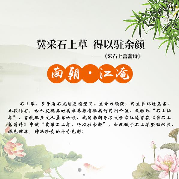 夏天掉頭發是什么原因 怎么防掉頭發？