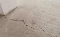 牛蛙價(jià)格最新市場價(jià)格