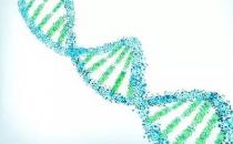 ?脫氧核糖核酸是什么東西，婦科脫氧核糖核酸是什么東西